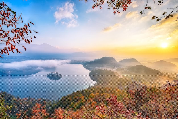 搜狗输入法下载极速版攻略2025年丨官方高速入口详解 搜狗输入法下载极速版攻略2025年丨官方高速入口详解 一