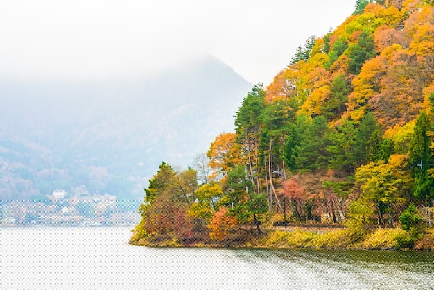 搜狗输入法下载2017版:快速安装官方指南 搜狗输入法下载2017版:快速安装官方指南 一